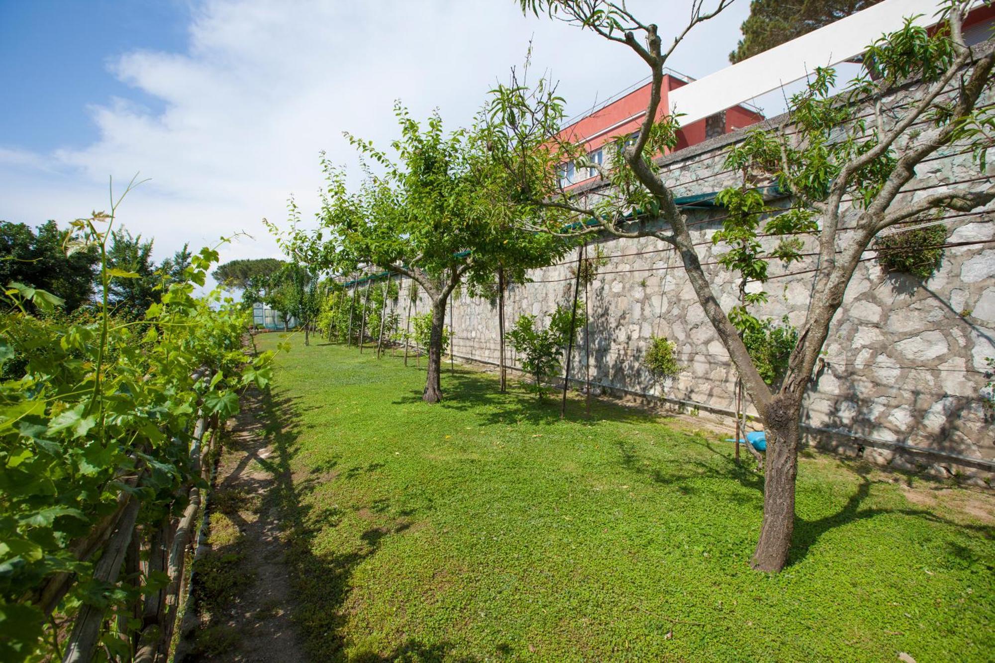 Villa Mambrini Sorrento Luaran gambar